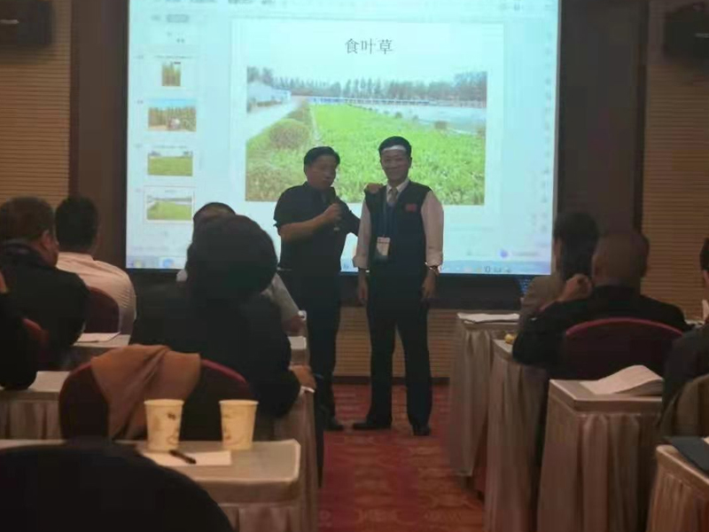 BB漆（悅享裝）